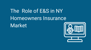 To Each Their Own: The Role of Excess & Surplus Lines Coverage in New York State’s Homeowners Insurance Market